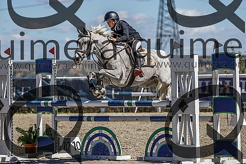 PONIS C