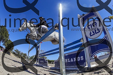 PONIS C2