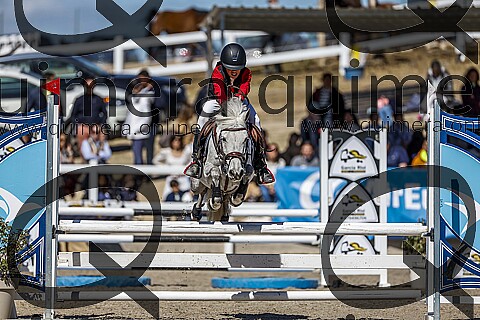 PONIS B