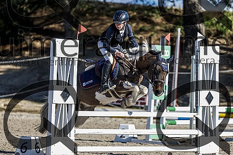 PONIS B2