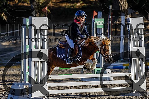 PONIS A2