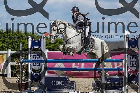 PONIS D2